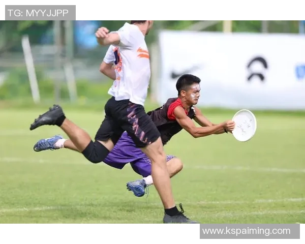 飞盘盛宴：深入解析广州飞盘队员的个人技能与团队协作