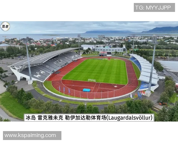 冰岛与乌克兰足球实力对比分析谁更具竞争力