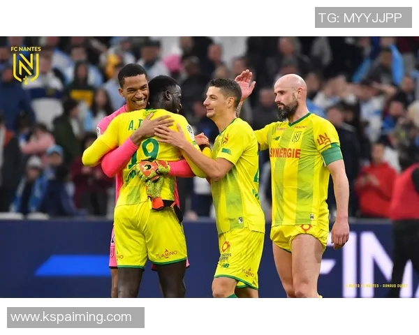 里尔与南特实力对比分析哪支球队更具竞争力与潜力